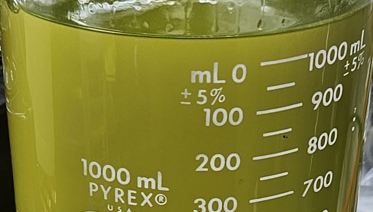A green liquid in a beaker.