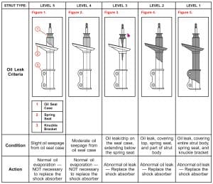 Strut Replacement - Everything you need to know