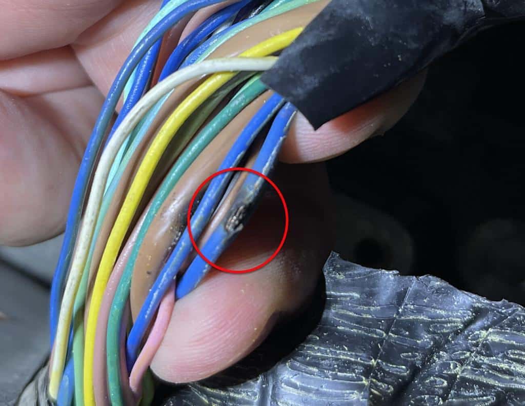 Stripped wiring harness. One wire has a burn mark where it has rubbed through and shorted.